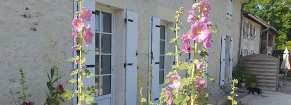 Découvrir le gîte en photos